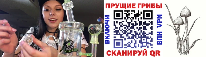 Купить где  Лакинск  Галлюциногенные грибы MAGIC MUSHROOMS 